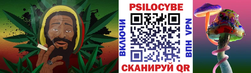 Купить где  Бузулук  Псилоцибиновые грибы Cubensis 